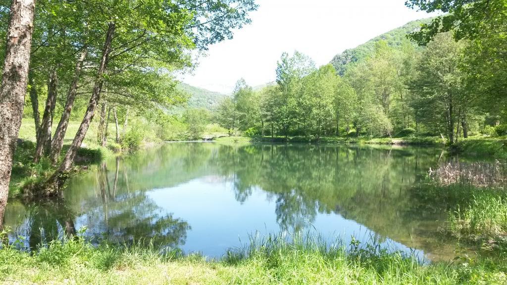Camping Paradis La Marmotte Ax-les-Thermes Exteriör bild